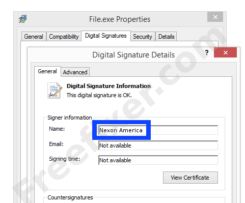 Screenshot of the Nexon America certificate